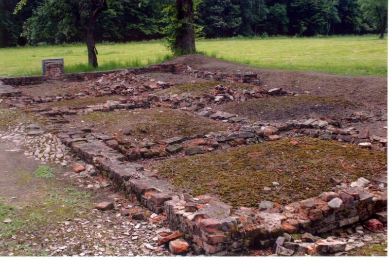 Birkenau gas chamber first